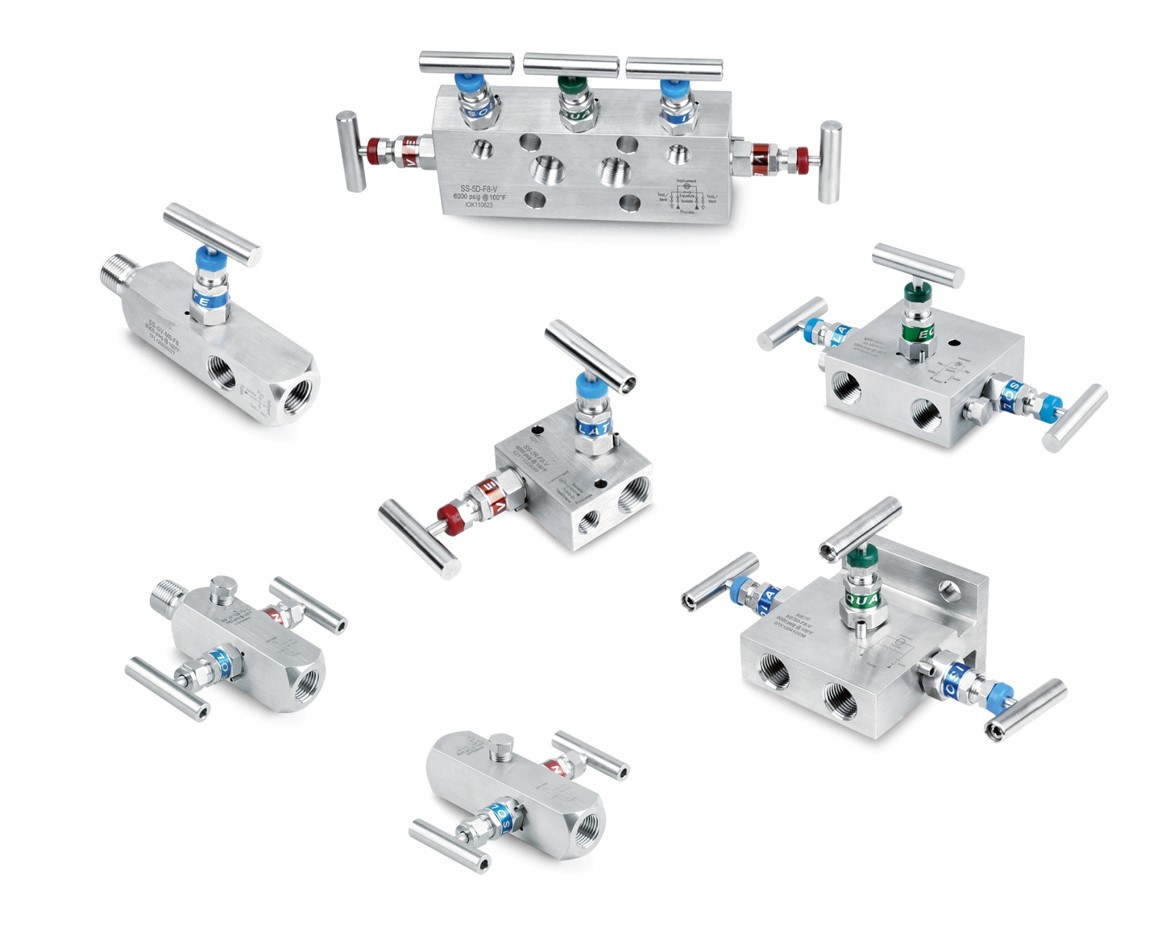 表阀和阀组  Gauge Valves and Instrument Manifolds